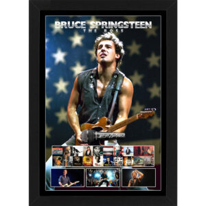 Bruce Springsteen Signed & Framed Microphone Deluxe Display