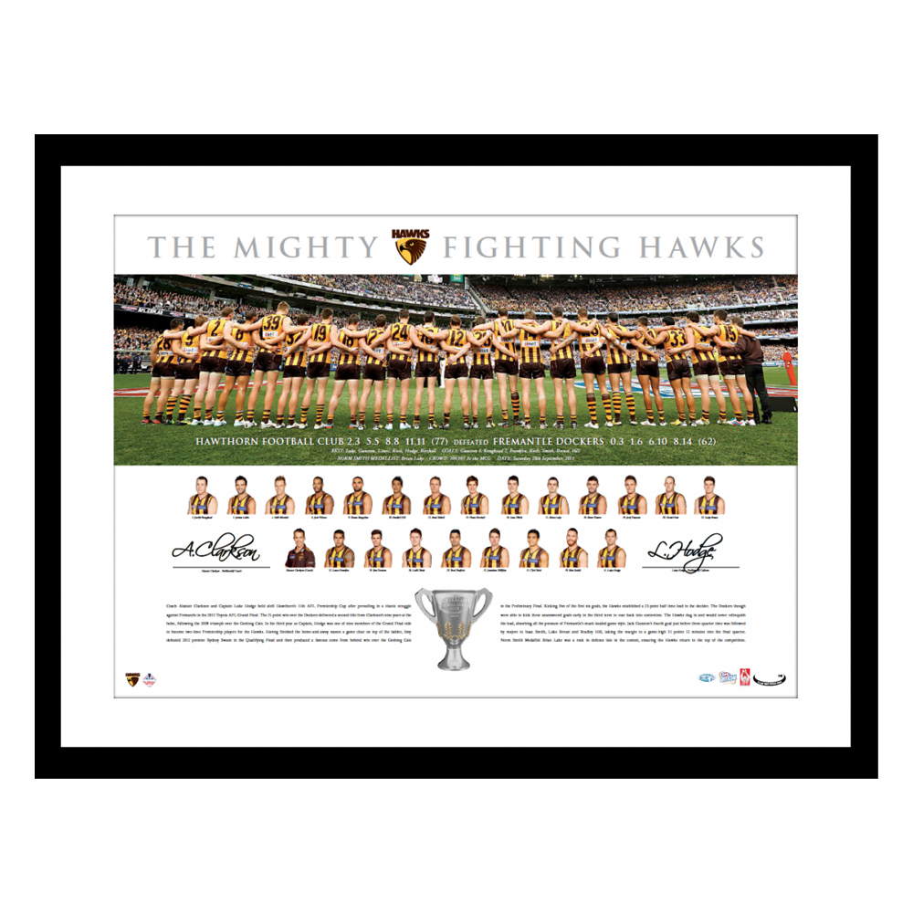 Hawthorn Hawks – 2013 Premiership Captain and Coach Signed and F...