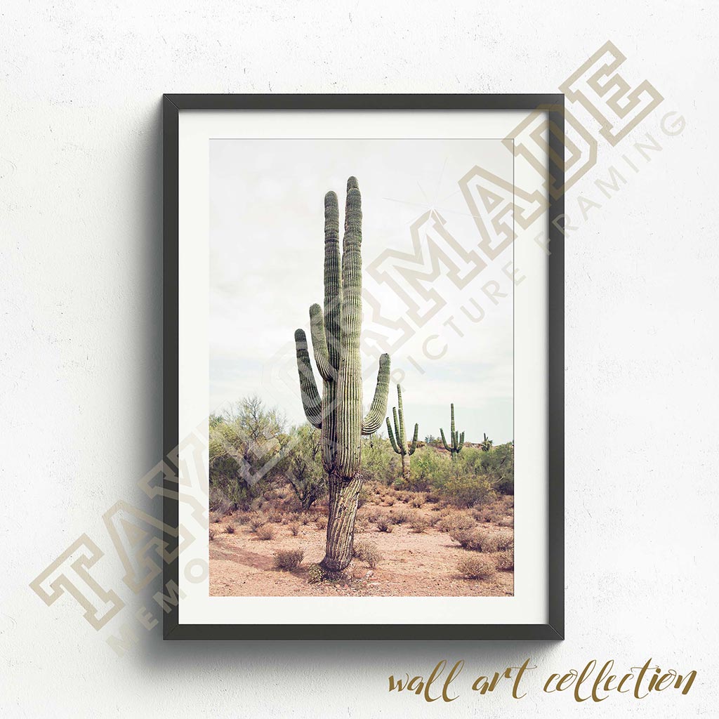 Wall Art Collection – Arizona Landscape