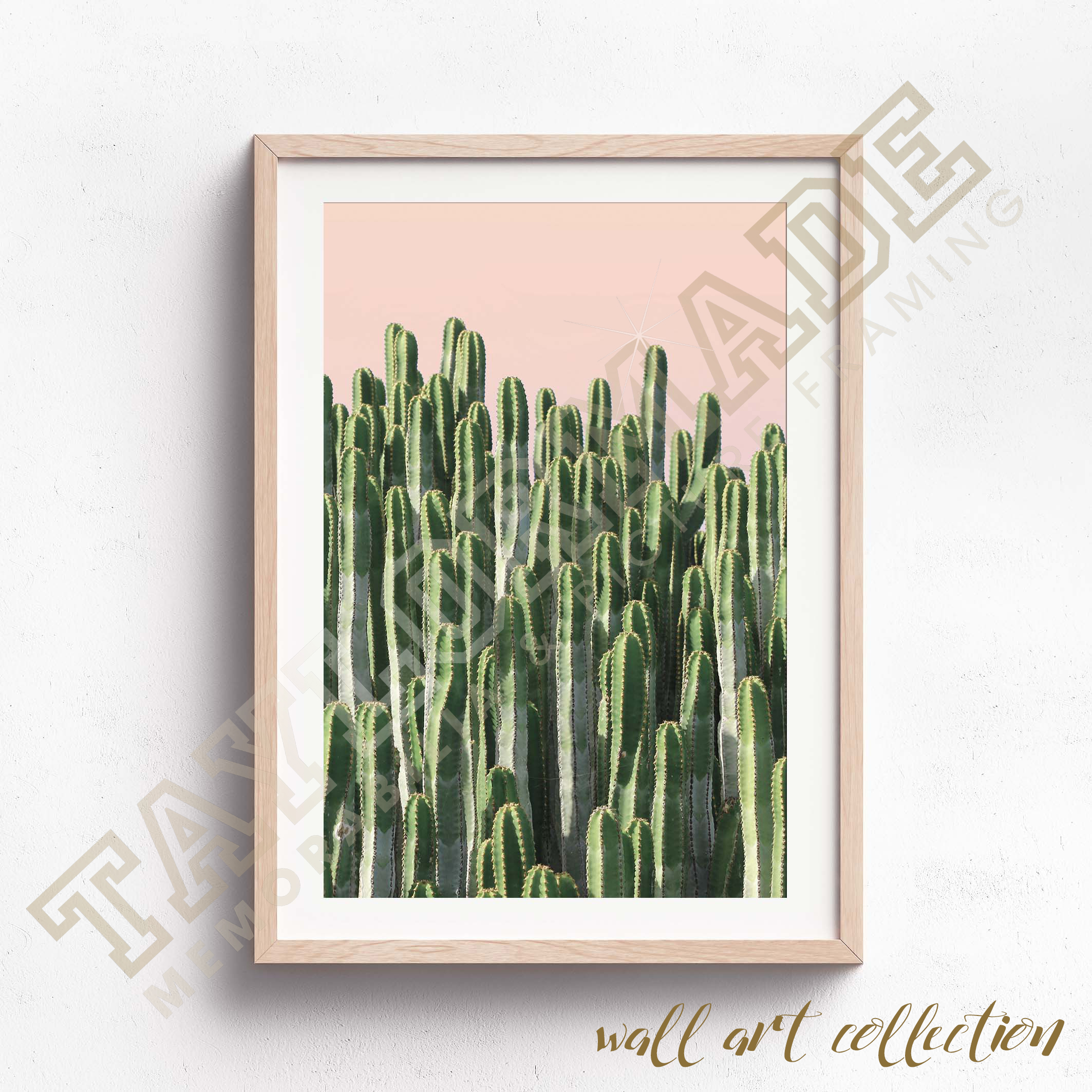 Wall Art Collection – Cactus Pink