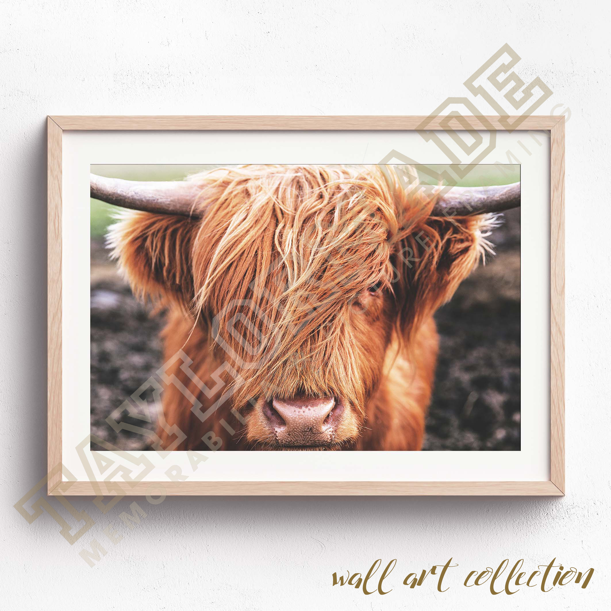 Wall Art Collection – Highlander