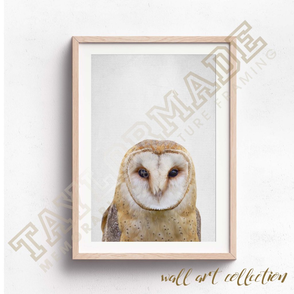 Wall Art Collection - Night Owl | Taylormade Memorabilia | Sports ...