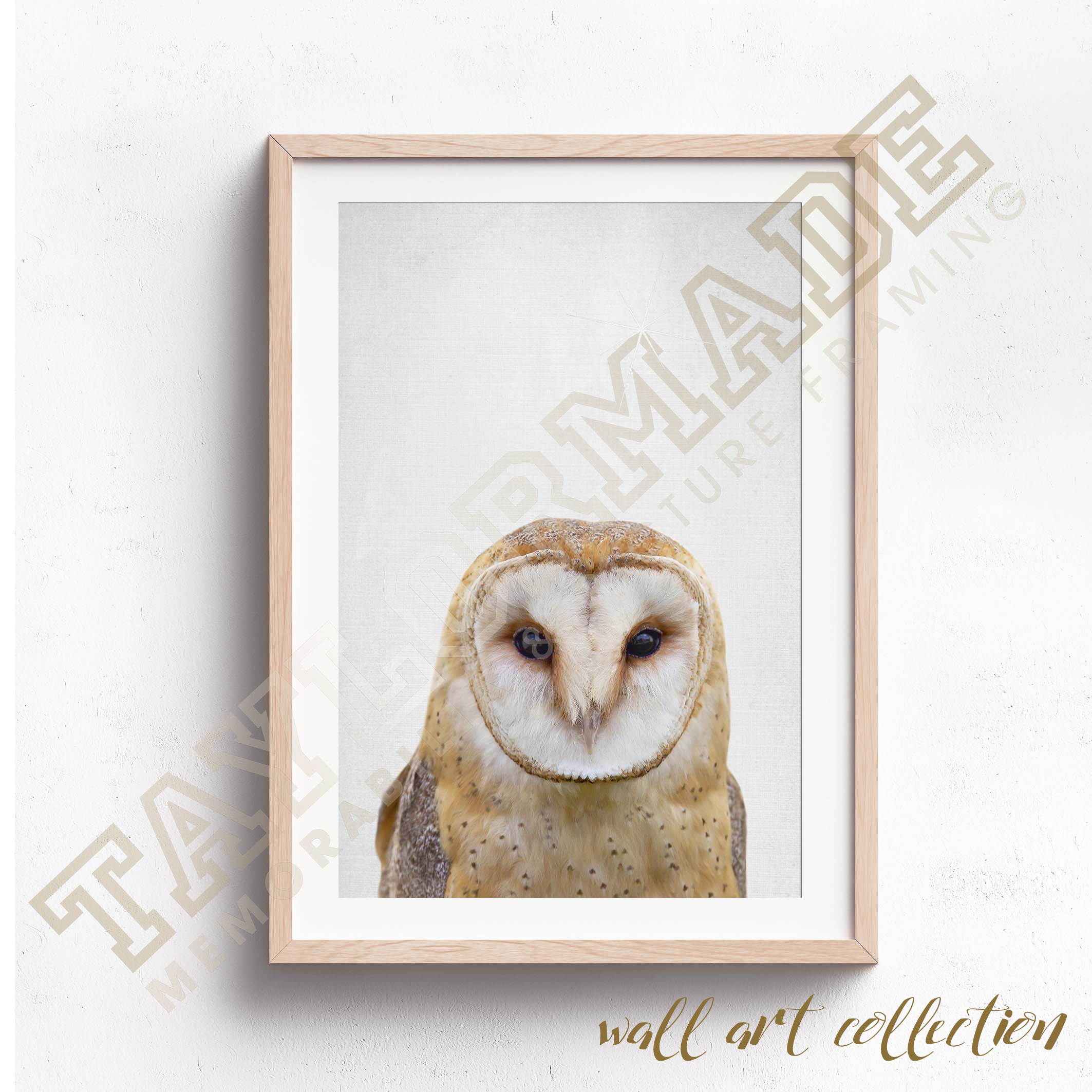 Wall Art Collection – Night Owl