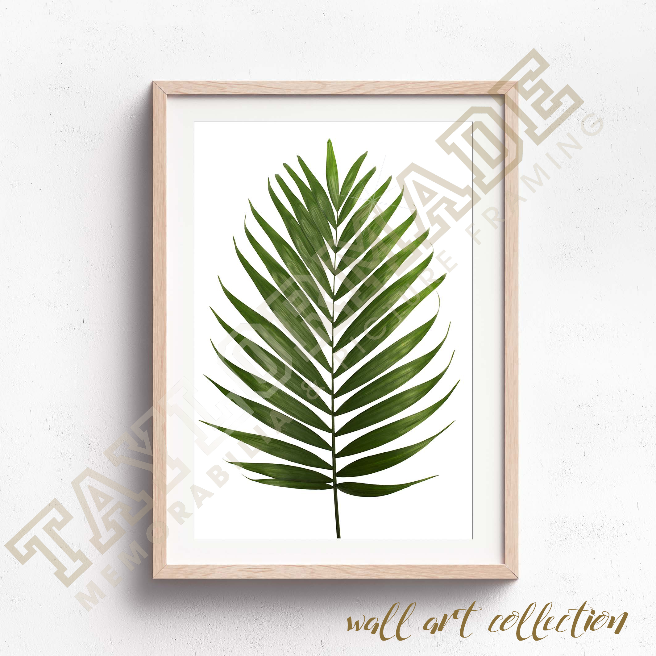 Wall Art Collection – Palm Leaf