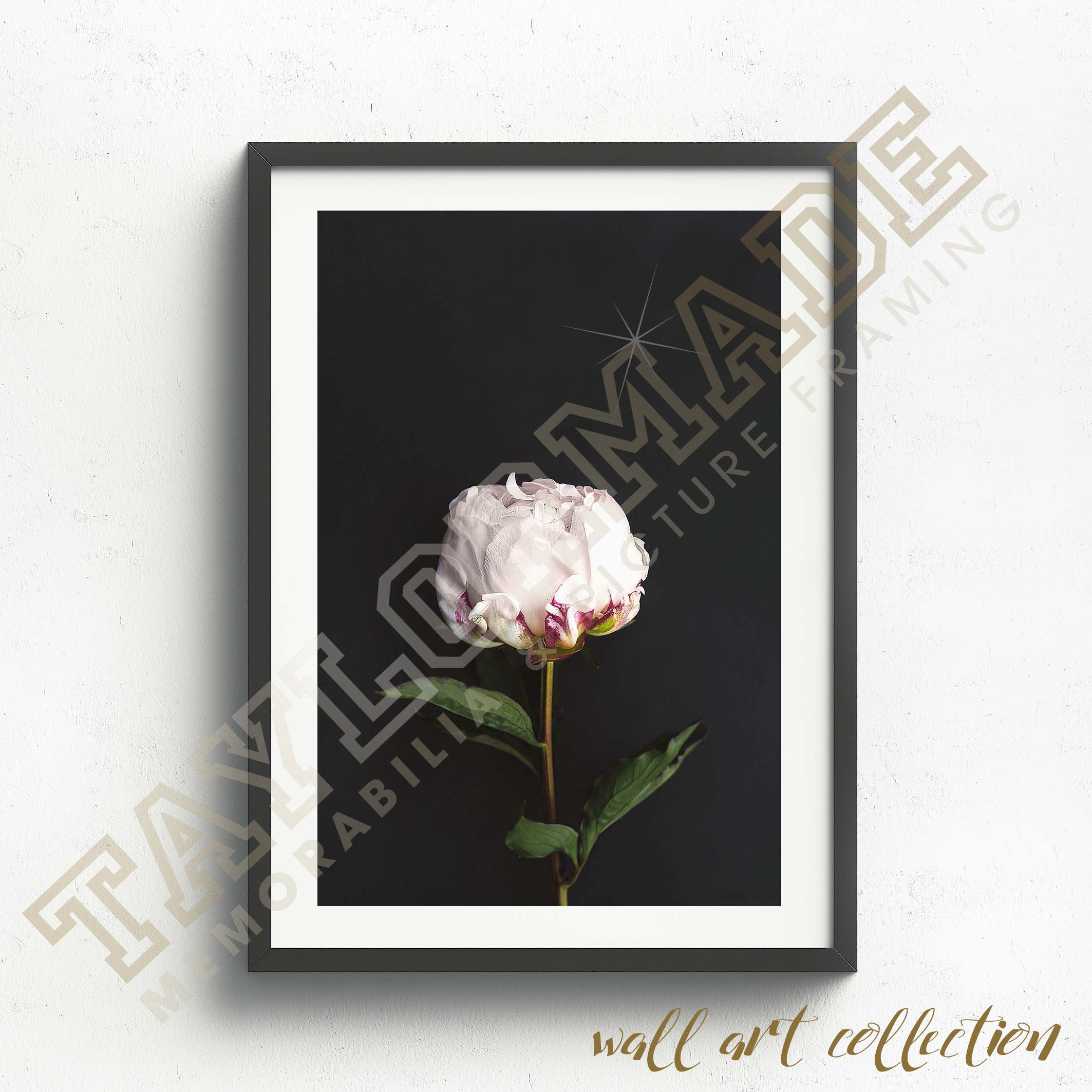 Wall Art Collection – Pink Petal