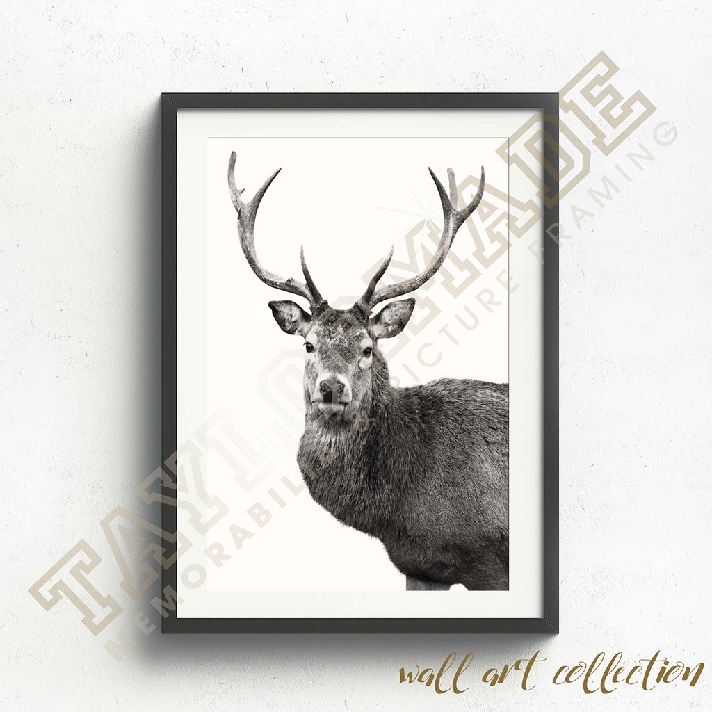 Wall Art Collection – Stag
