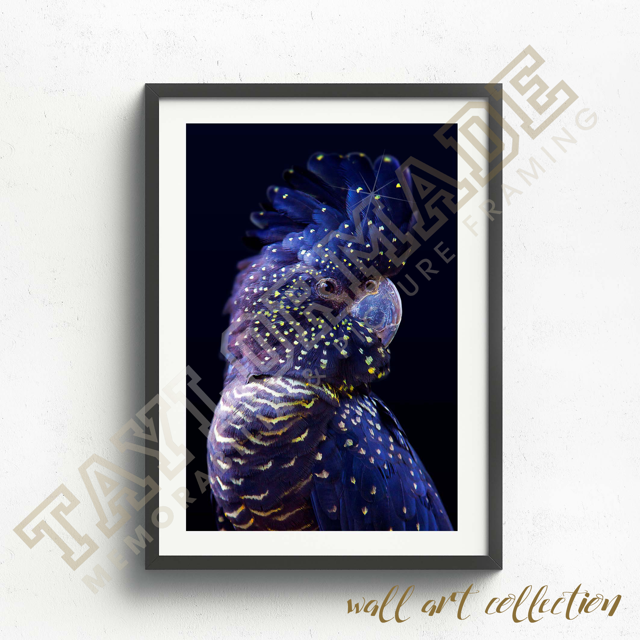 Wall Art Collection – Starry Eyed Cockatoo