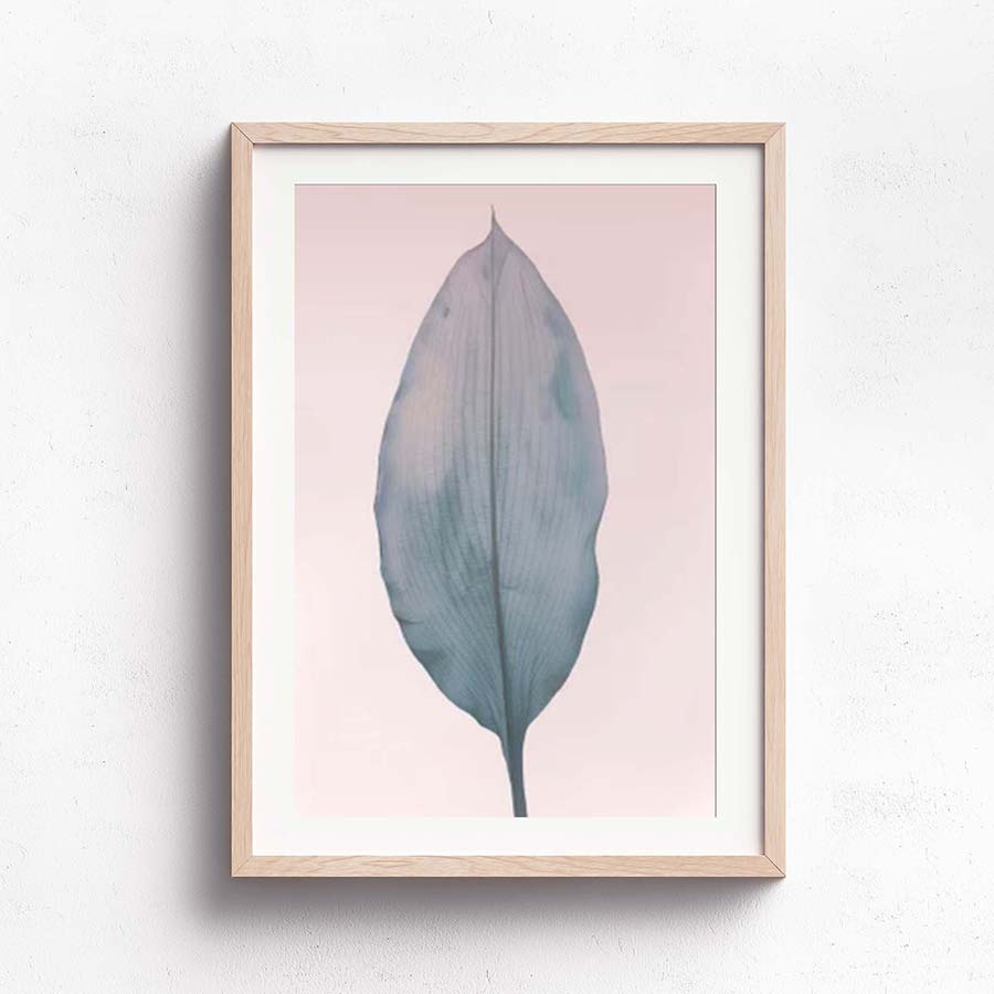 Wall Art Collection – Blush Leaf