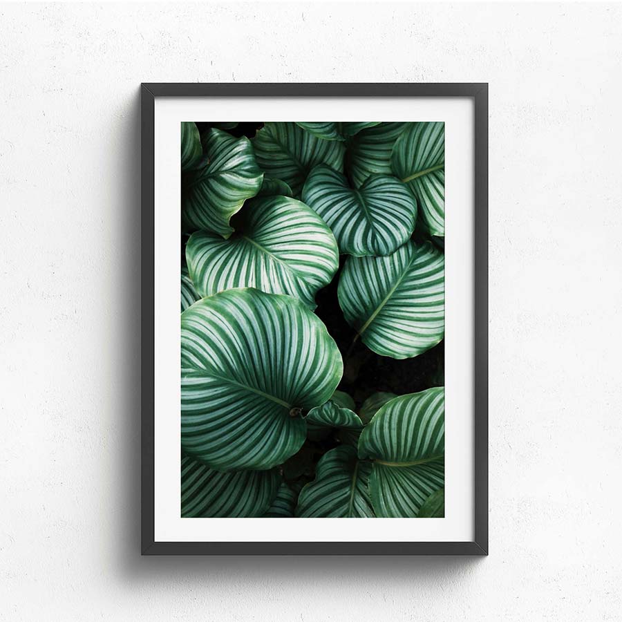 Wall Art Collection – Dark Folage