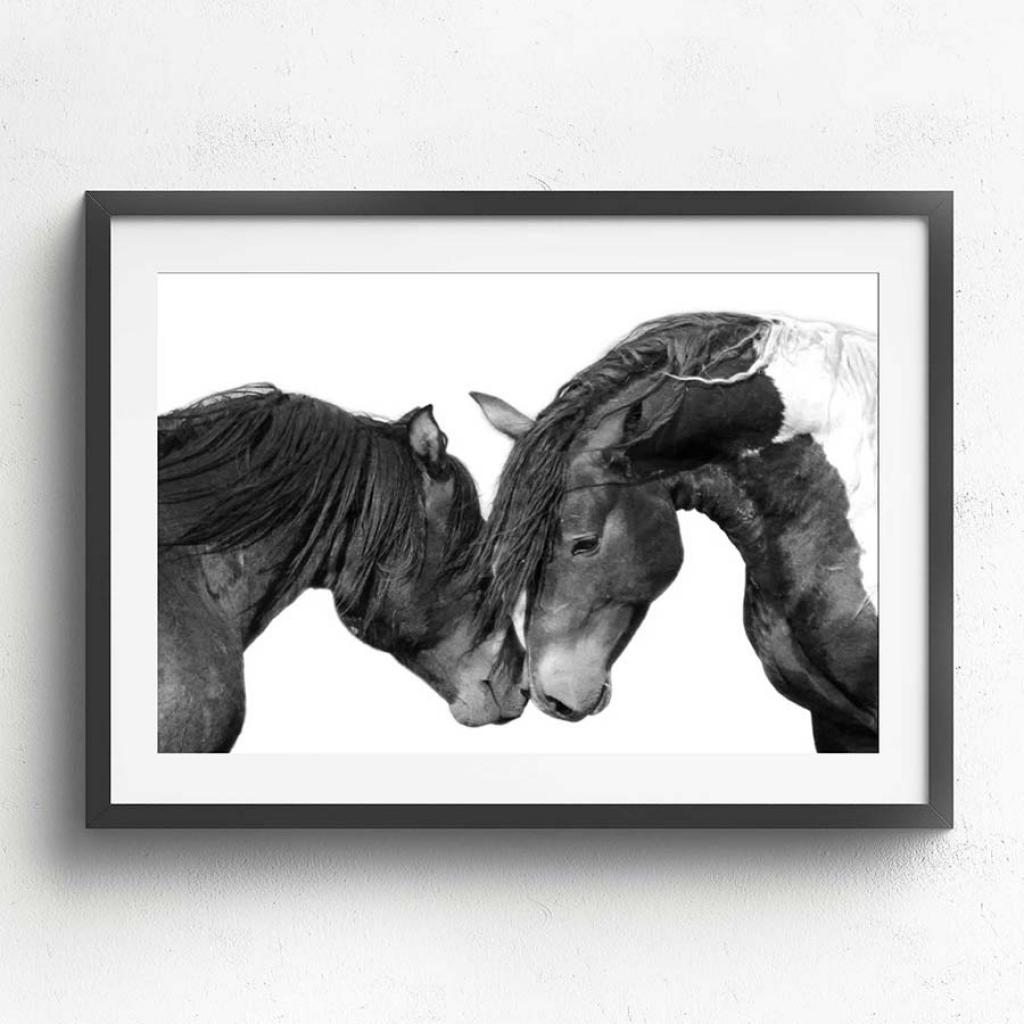 Wall Art Collection - Horse Love | Taylormade Memorabilia | Sports ...