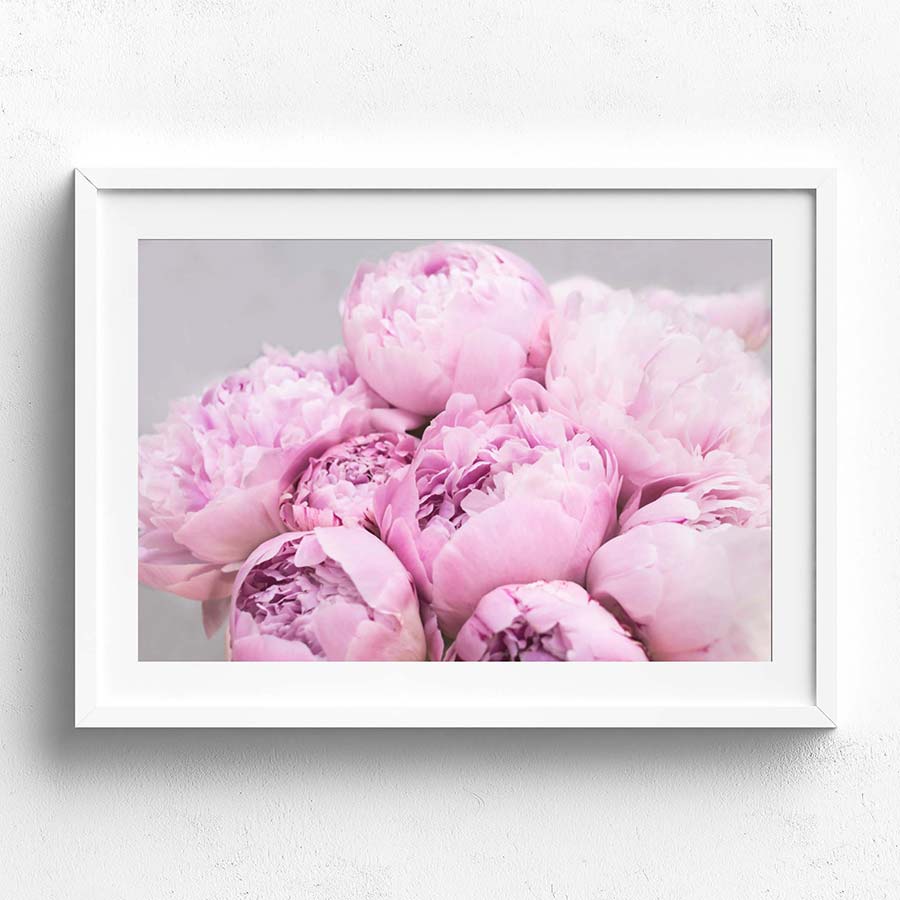 Wall Art Collection – Pink Peiones
