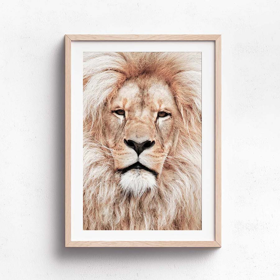 Wall Art Collection – Pride