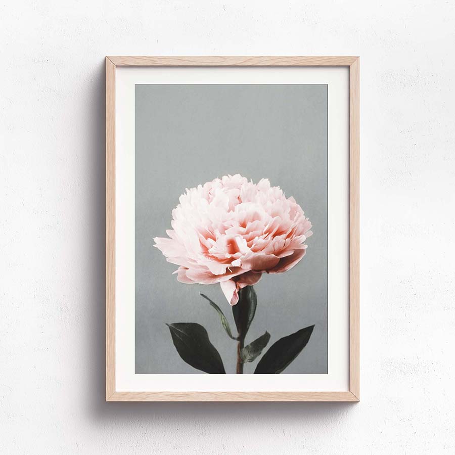 Wall Art Collection – Single Posie