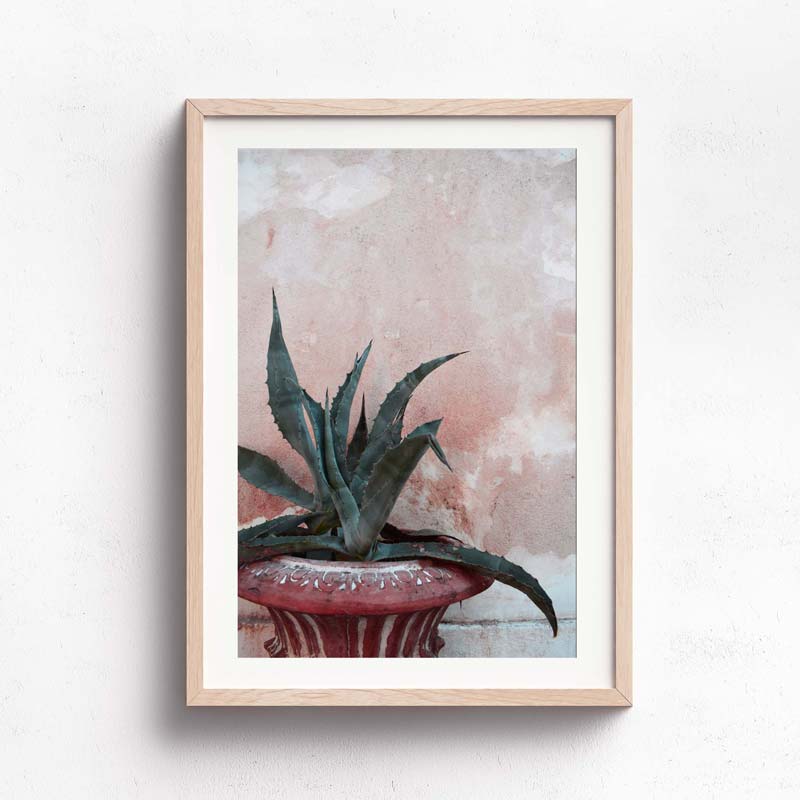 Wall Art Collection – Rustic Cactus