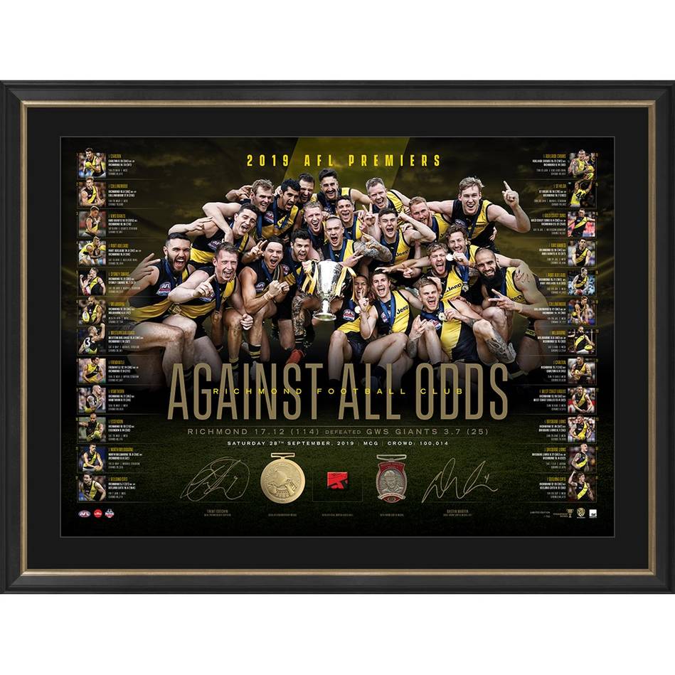 Richmond Tigers 2019 AFL Premiership Limited Edition Memorabilia Frame Classic 