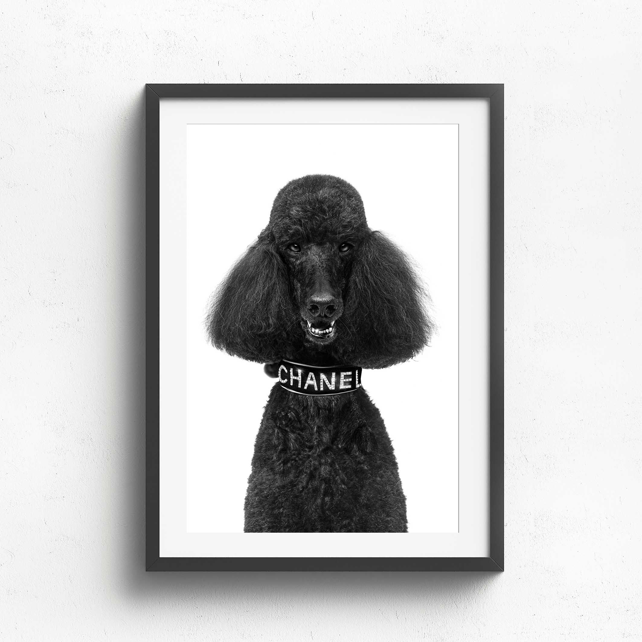 Wall Art Collection – Chanel Poodle