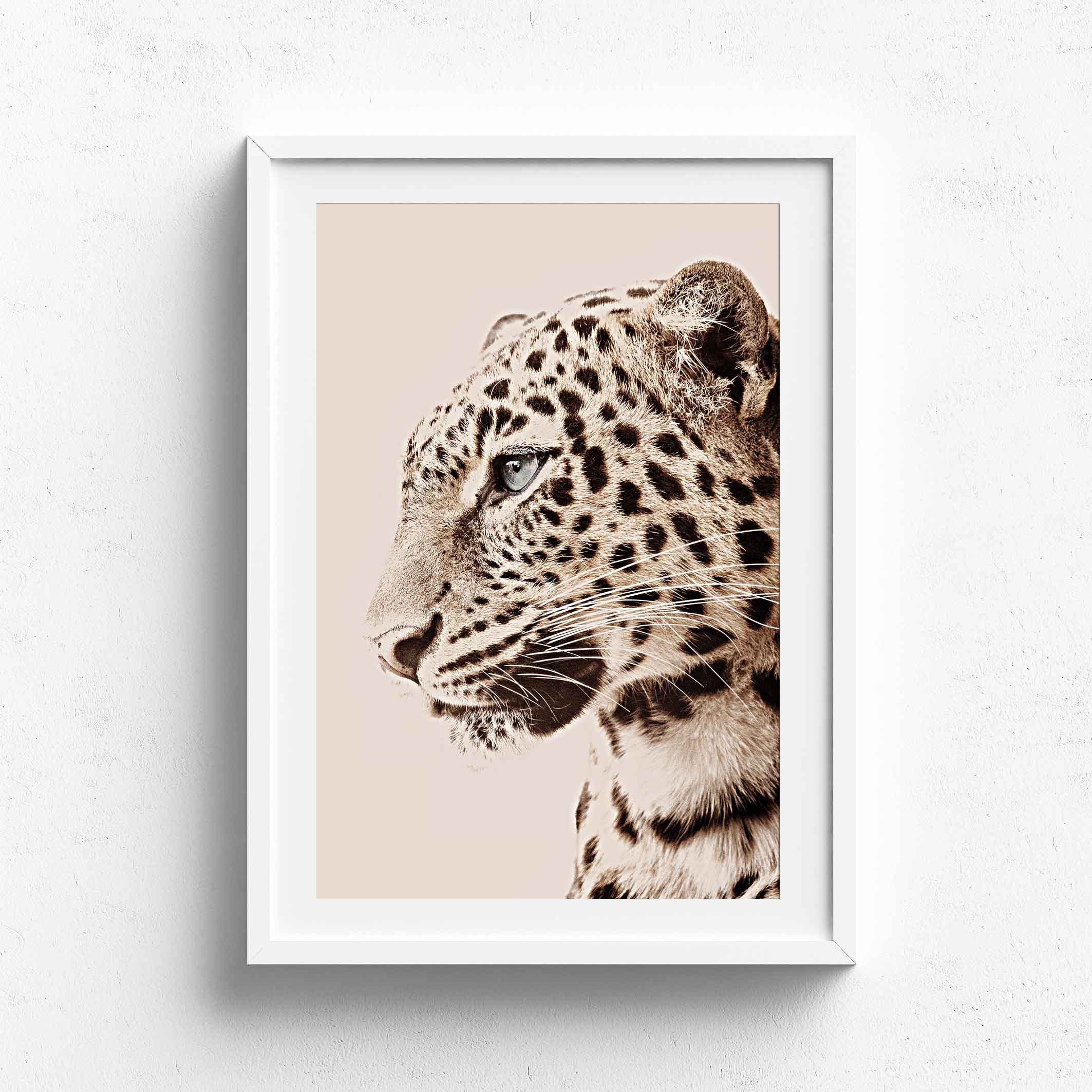 Wall Art Collection – Pastel Leopard