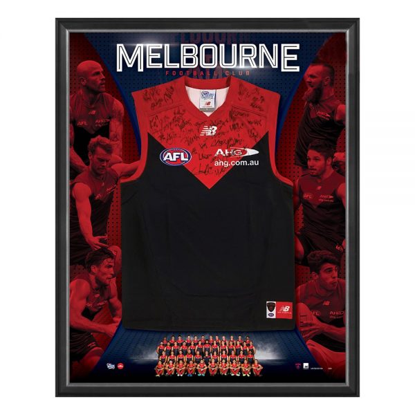 Melbourne Demons AFL 2017 Team Hand Signed Framed Limited Edition Jumper | Taylormade 
