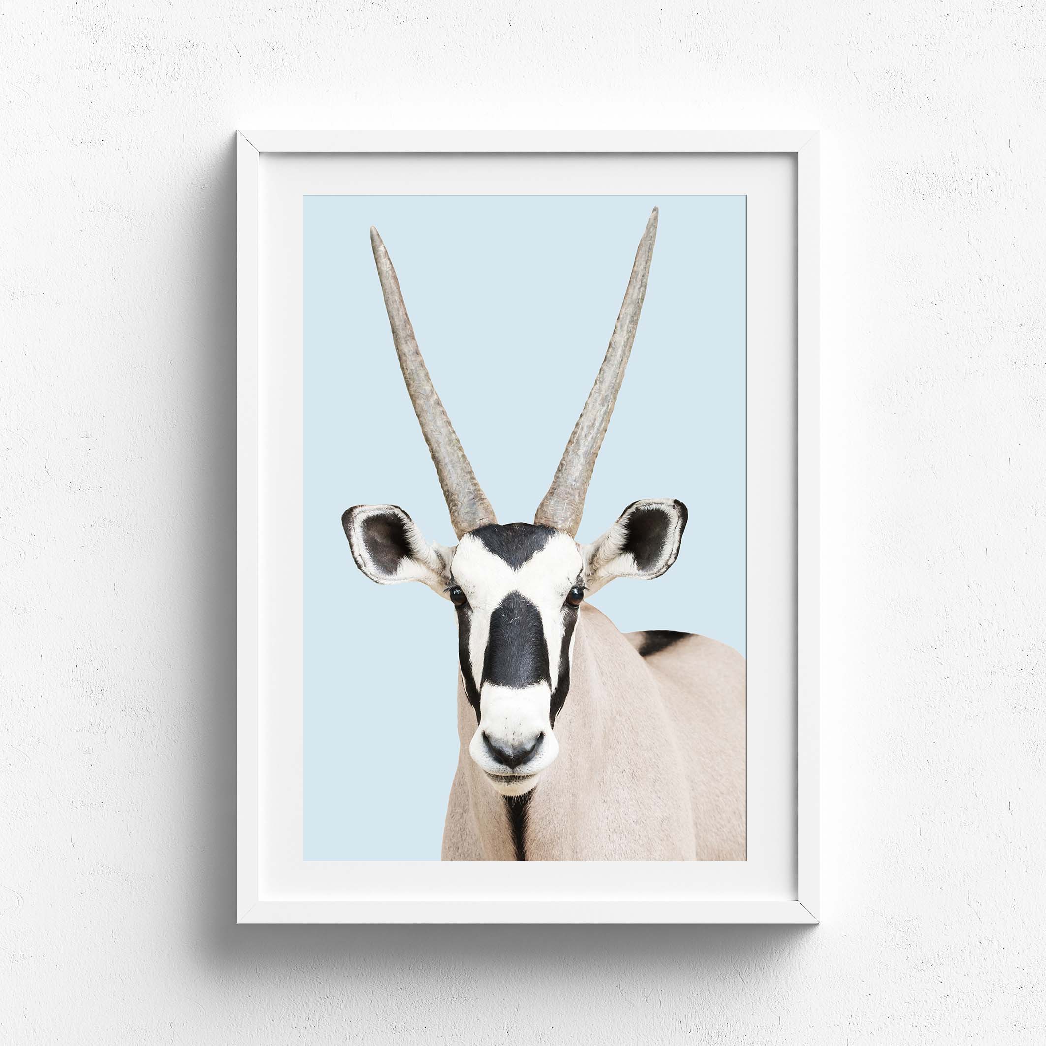 Wall Art Collection – Oryx Stare