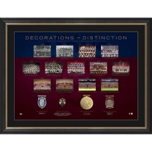 Brisbane Lions - Framed Decorations of Distinction Limited Edition Print