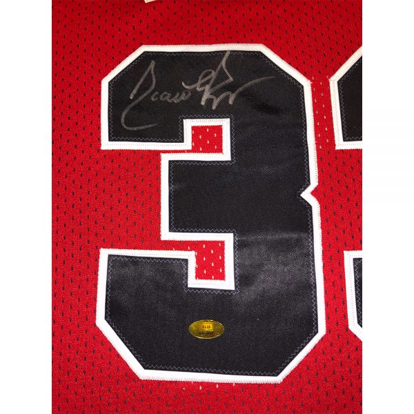 women's scottie pippen jersey