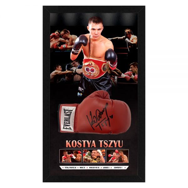 kostya tszyu boxing gloves