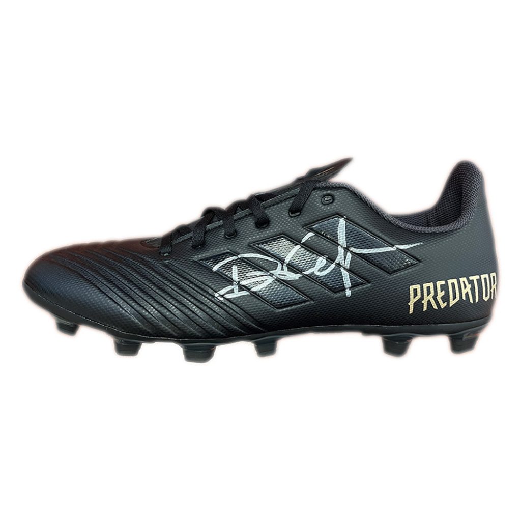 dan carter boots