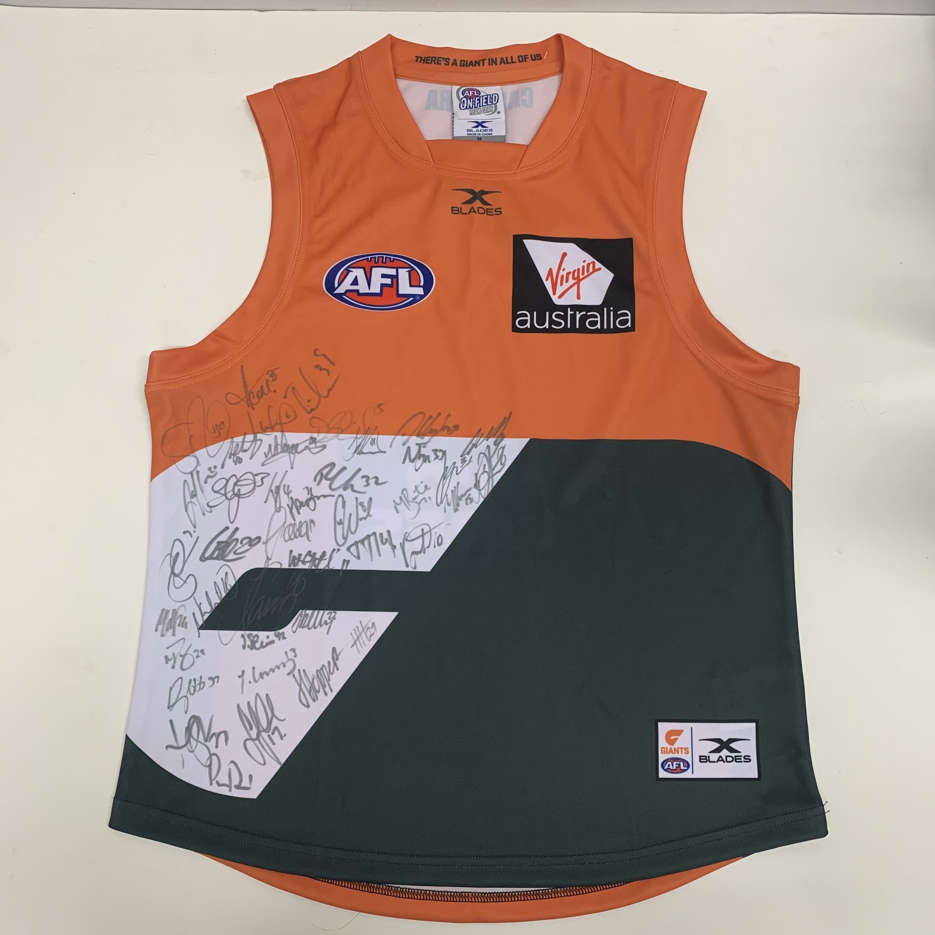 Greater Western Sydney Giants – 2017 Full Team Hand Signed Guern...