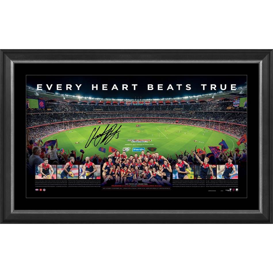 MELBOURNE DEMONS 2021 PREMIERS SIGNED PANORAMIC