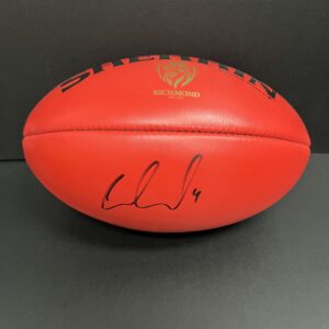 AFL Richmond Tigers Dustin Martin Signed Brownlow Football