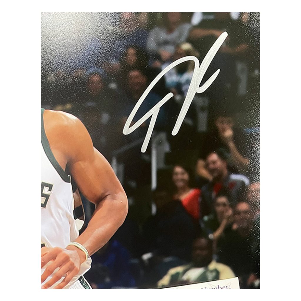 Giannis Antetokounmpo Signed 2017 All-Star Game Jersey (JSA COA