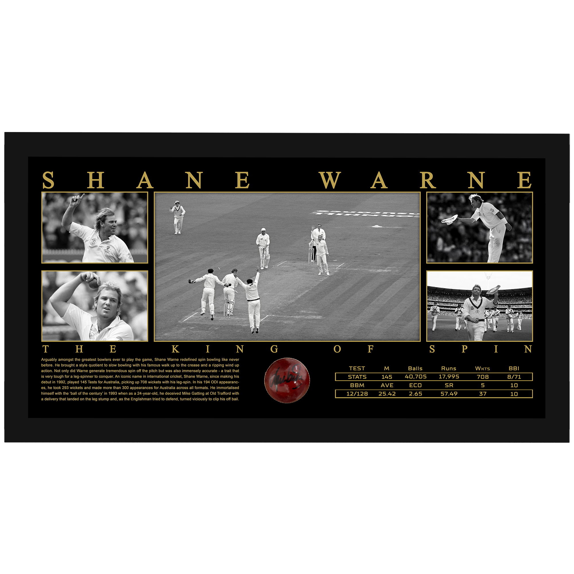 Cricket – Shane Warne Signed & Framed Deluxe Cricket Ball D...