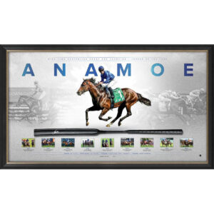 ANAMOE SIGNED & FRAMED WHIP DISPLAY