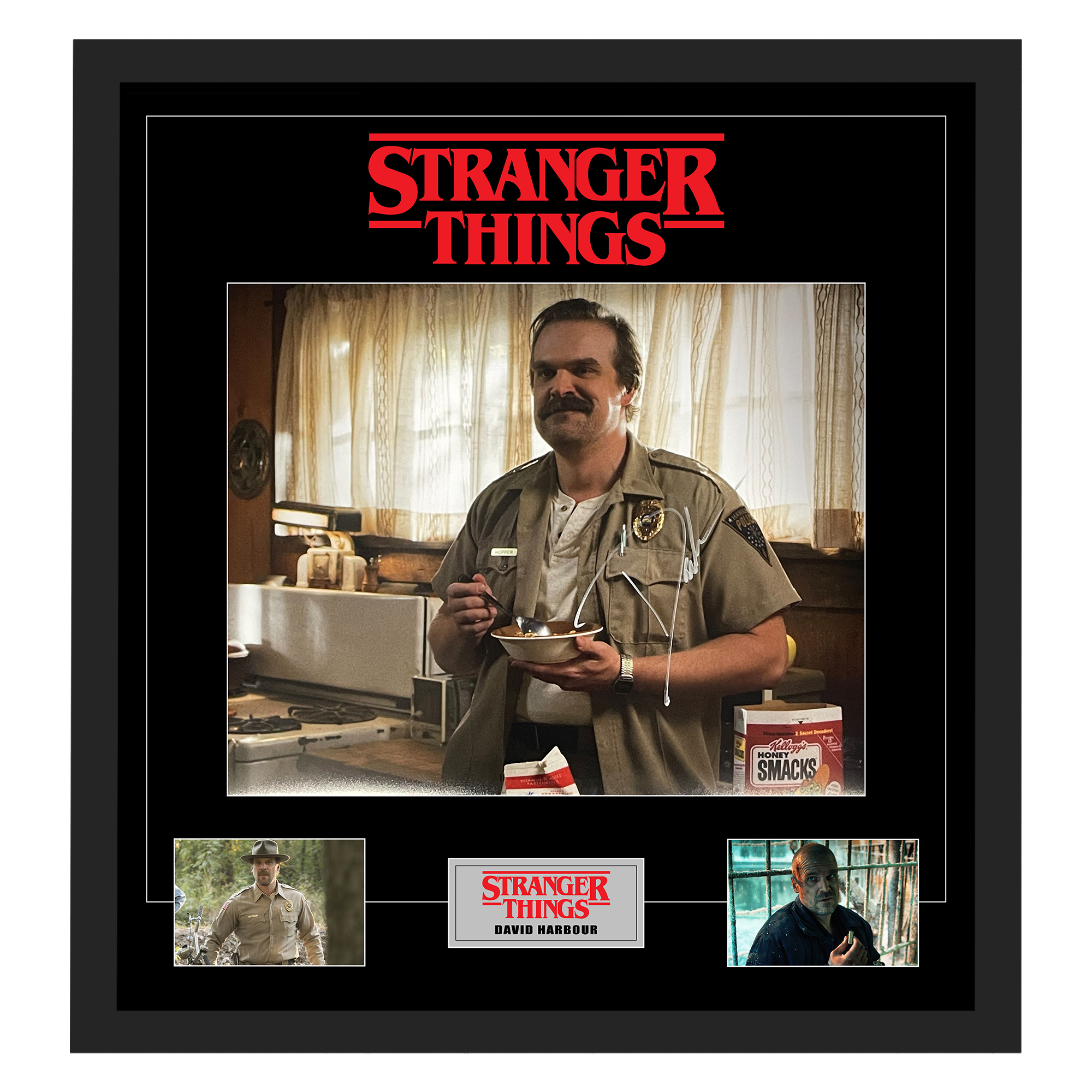 David Harbour – Stranger Things Signed & Framed 16×20 ...