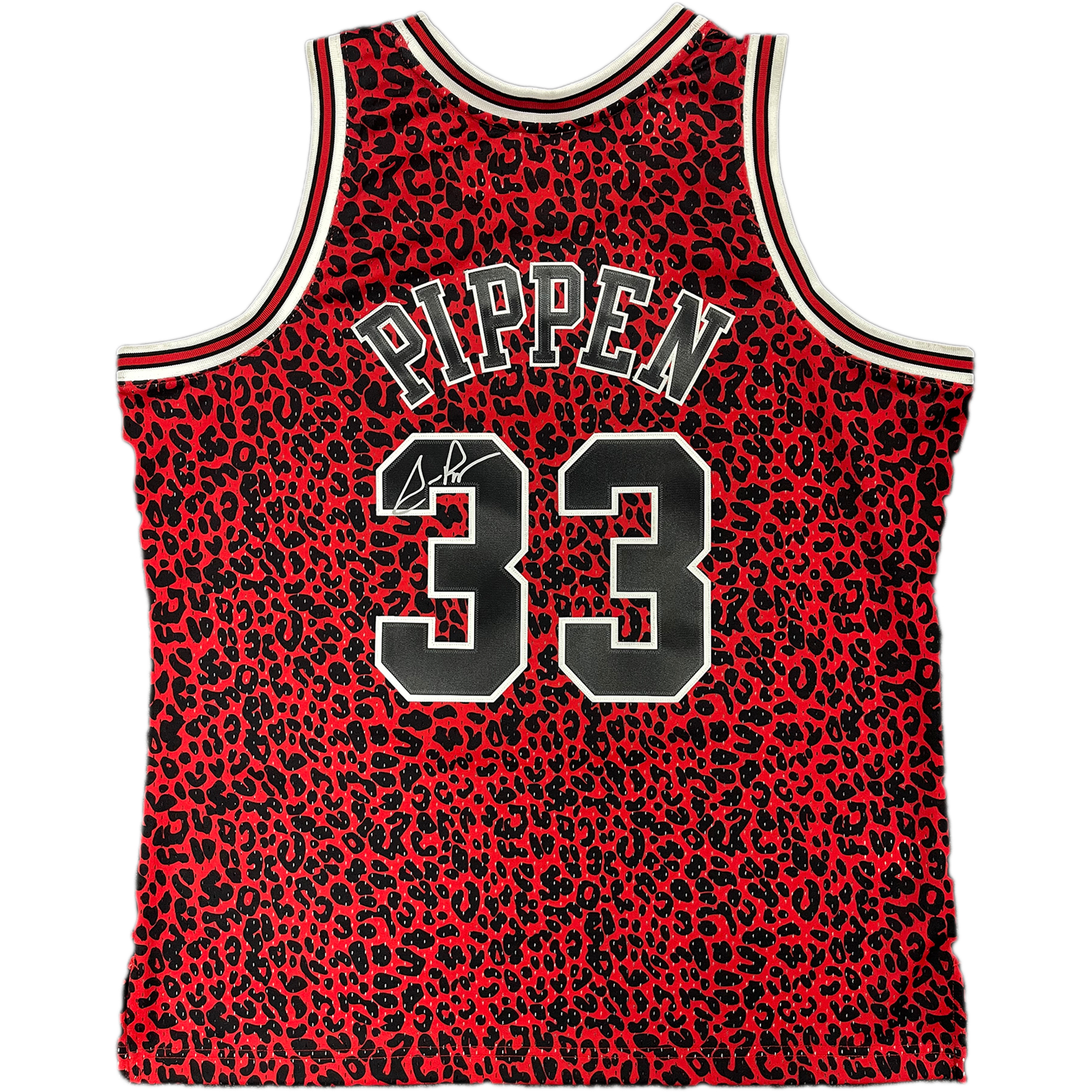 Basketball – Scottie Pippen Signed Framed Chicago Bulls Wild Lif...