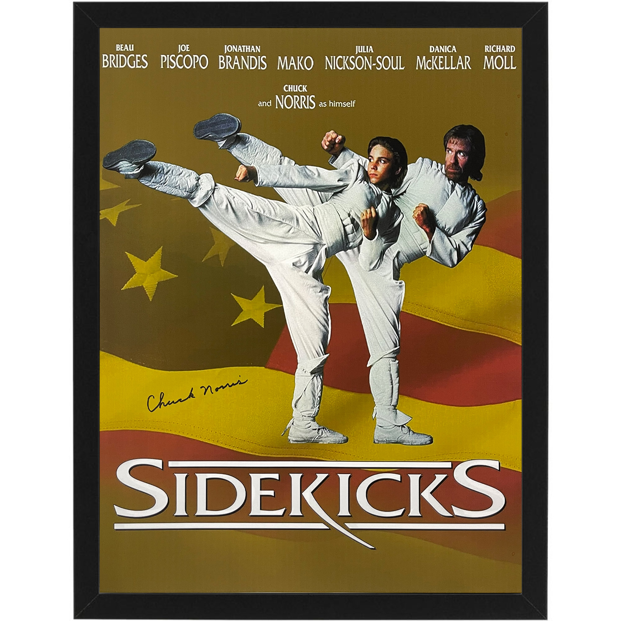 Chuck Norris – “Sidekicks” Signed & Framed Canv...