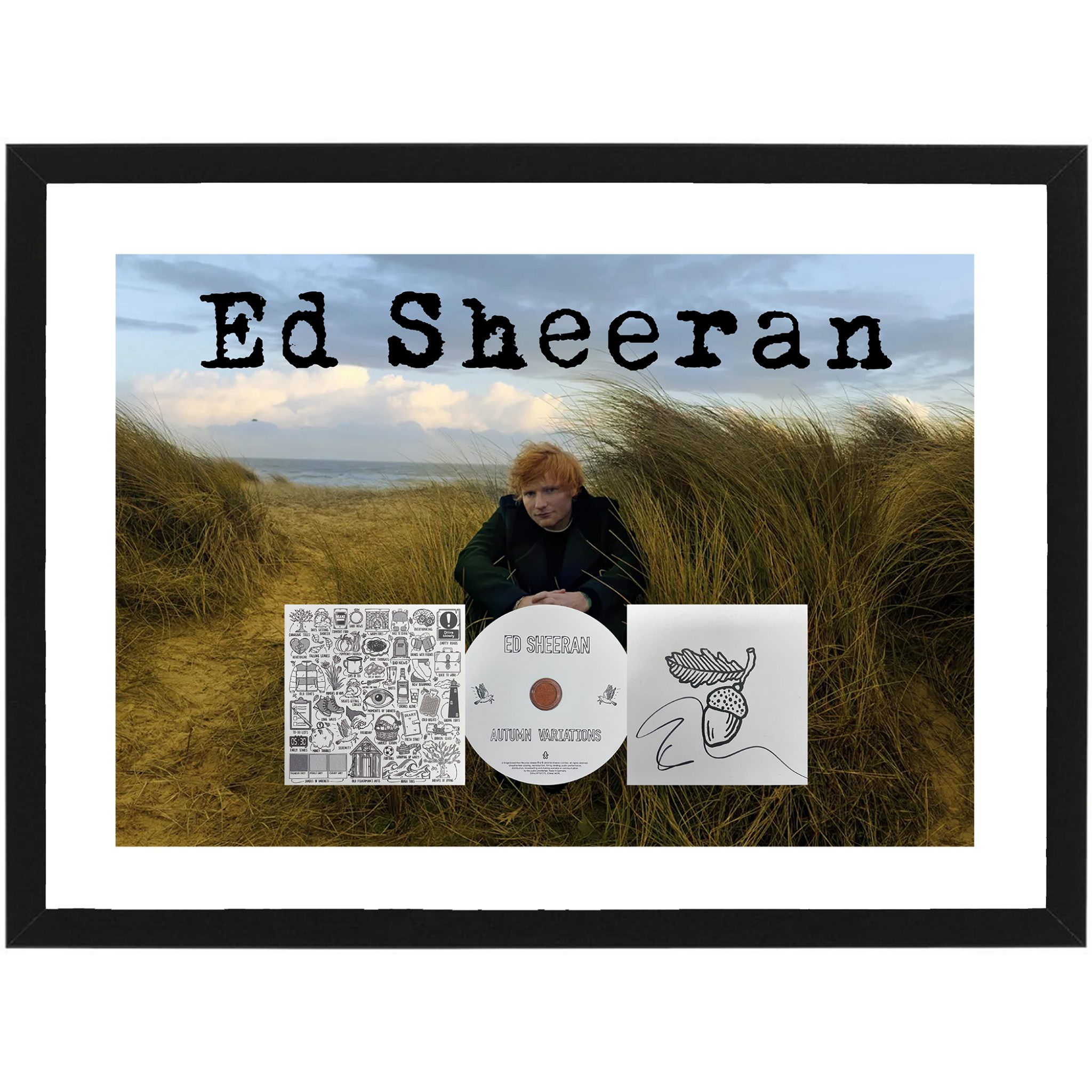 Ed Sheeran - Signed & Framed AUTUMN VARIATIONS CD Cover Deluxe Display ...