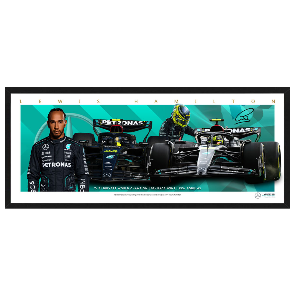 Formula 1 – Lewis Hamilton Mercedes Mini Wings Framed Print