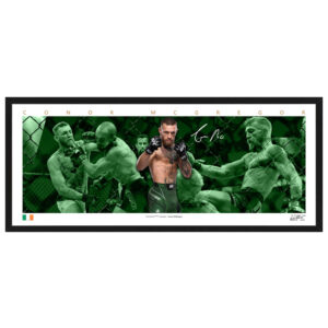 UFC - Conor McGregor Mini Wings Framed Print