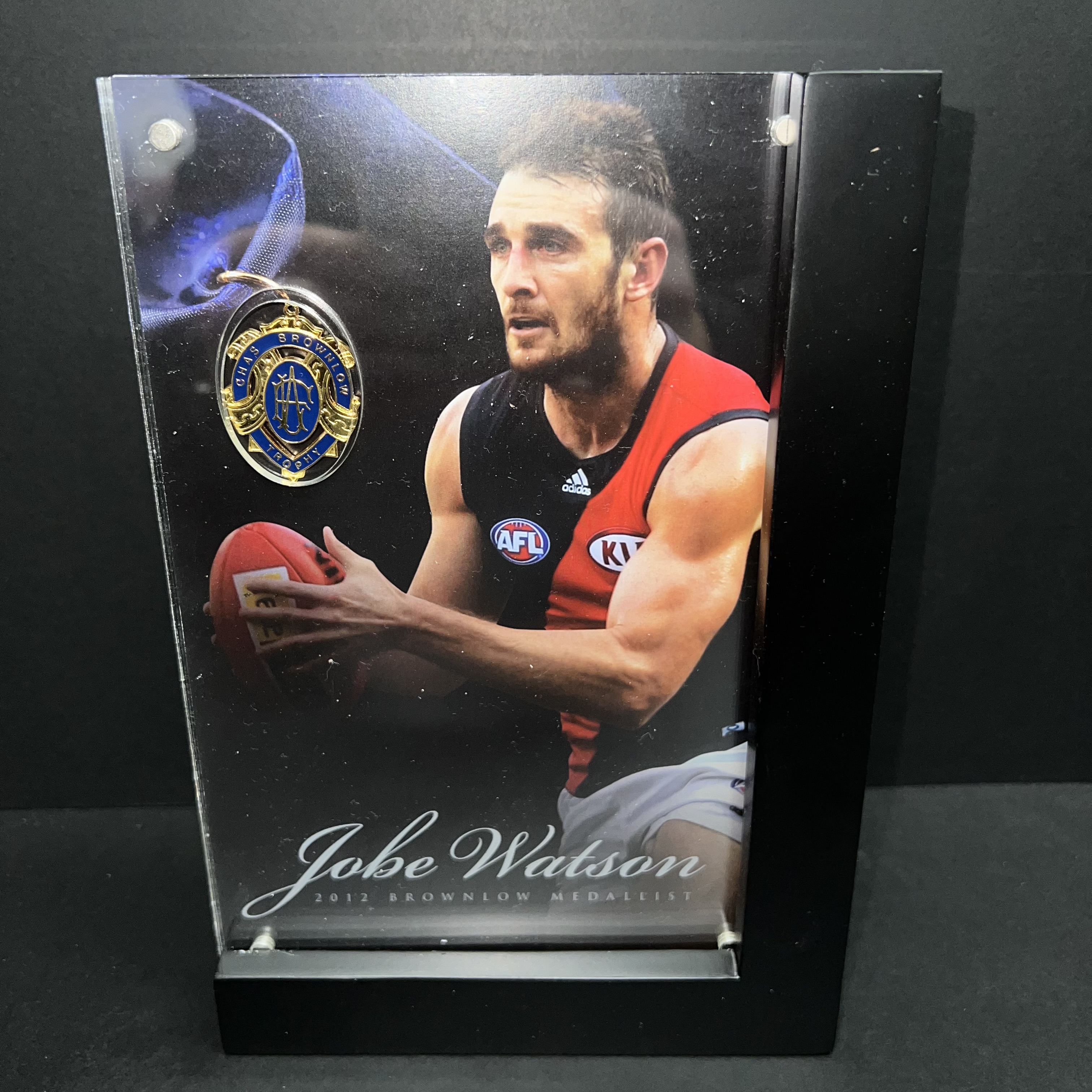 Essendon Bombers Jobe Watson Brownlow Medal Replica Display