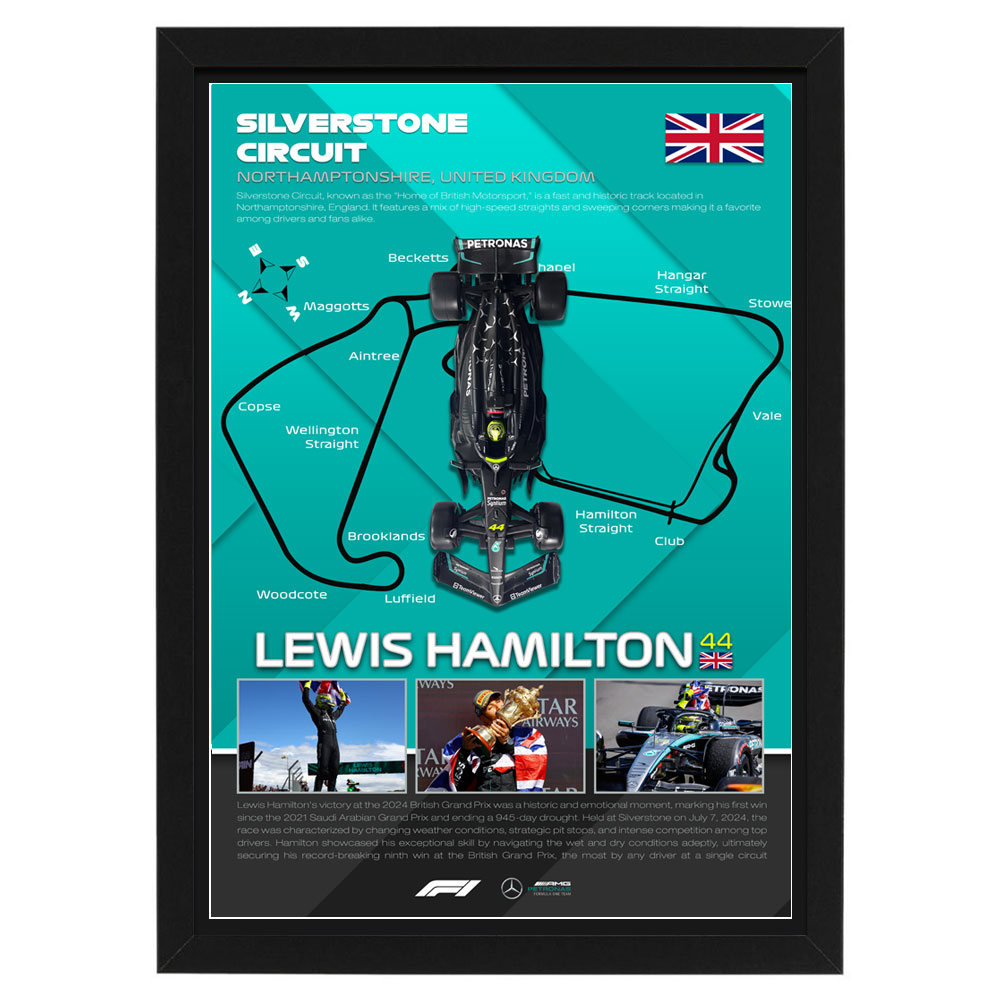 Formula 1 – Lewis Hamilton 1:24 Scale McLaren F1 Model Car Displ...