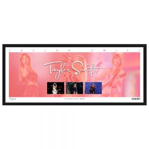 Music - Taylor Swift Mini Wings Framed Print