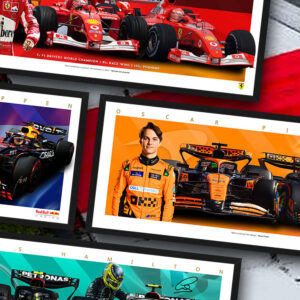 F1 Mini-Wing Display