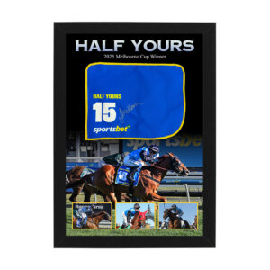 Half Yours - Jamie Melham Signed & Framed Mini Saddlecloth