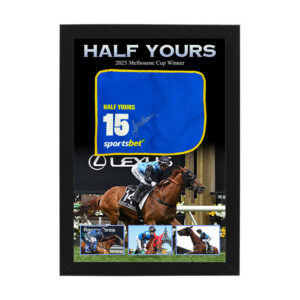 Half Yours - Jamie Melham Signed & Framed Mini Saddlecloth