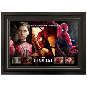 Spiderman - Stan Lee Signed & Framed 8x10 Photo Display