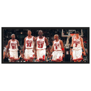 NBA 1996 Chicago Bulls Squad Deluxe Display