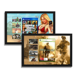 Video Game Display