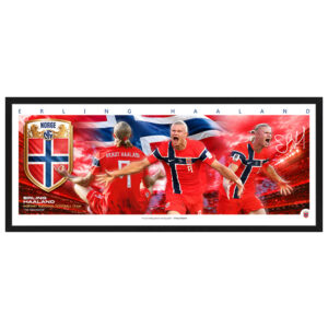Soccer - Erling Haaland Norway National FC Mini Wings Framed Print