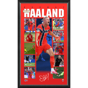 Soccer - Erling Haaland Norway World Cup Framed Vertiramic Print